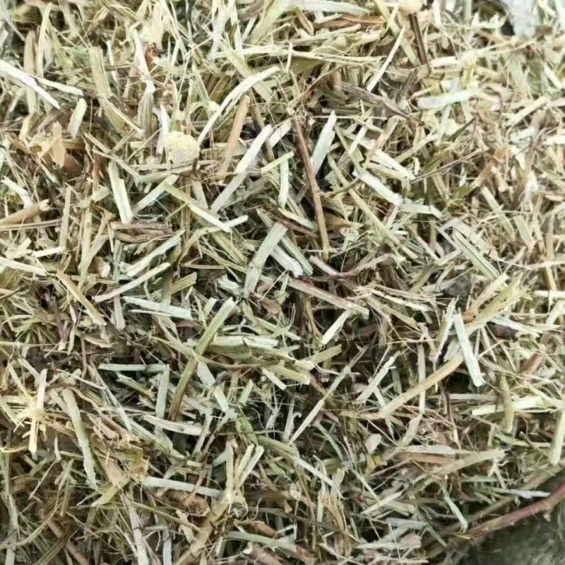 【常年供应】质优价廉品质保证视频看货规格齐全