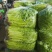 【精选】江苏香芹基地直发自产自销对接全国商超团购一条龙