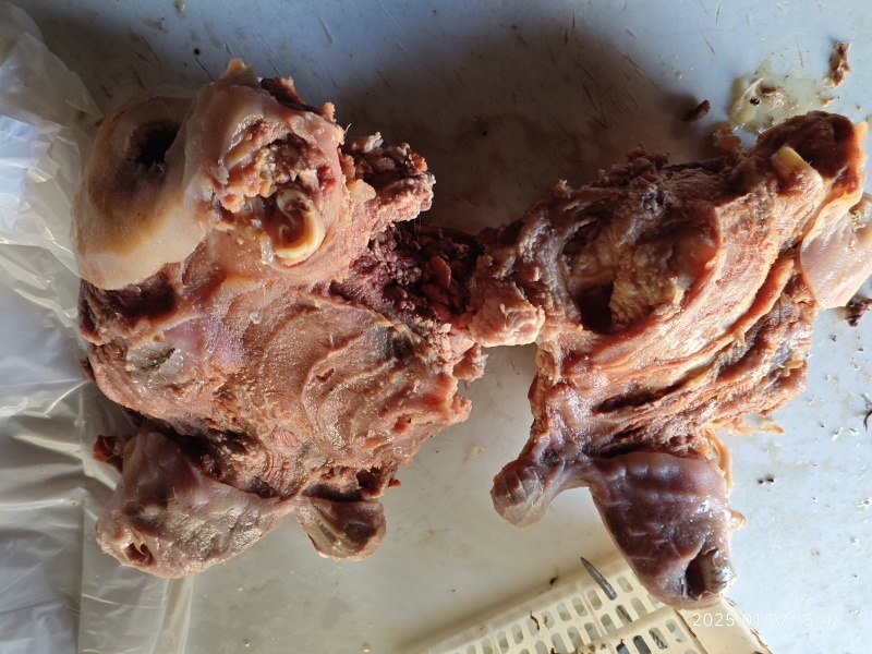 8成熟牛头肉