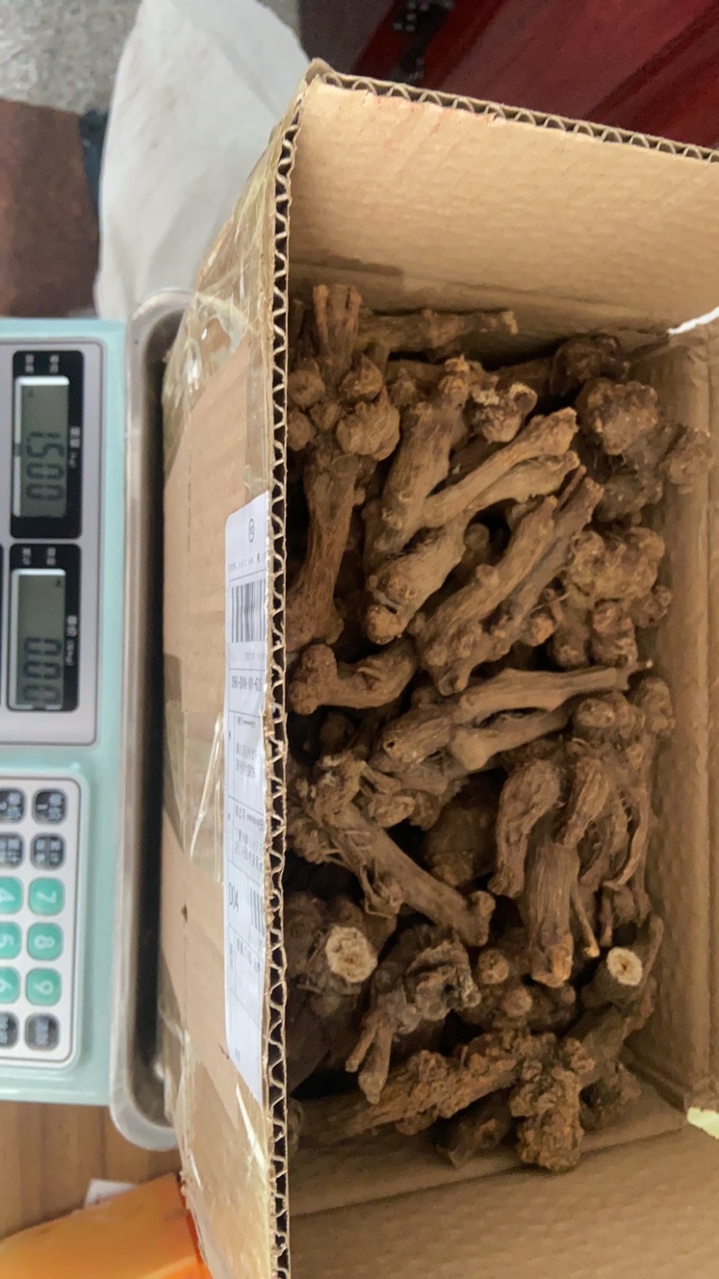 浙江天台高山老品种白术，非改良的。白玉瞻天台山赋有提起
