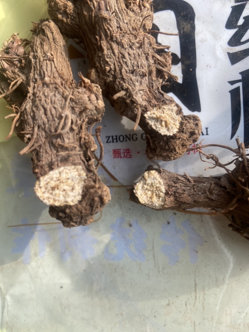 浙江天台高山老品种白术，非改良的。白玉瞻天台山赋有提起