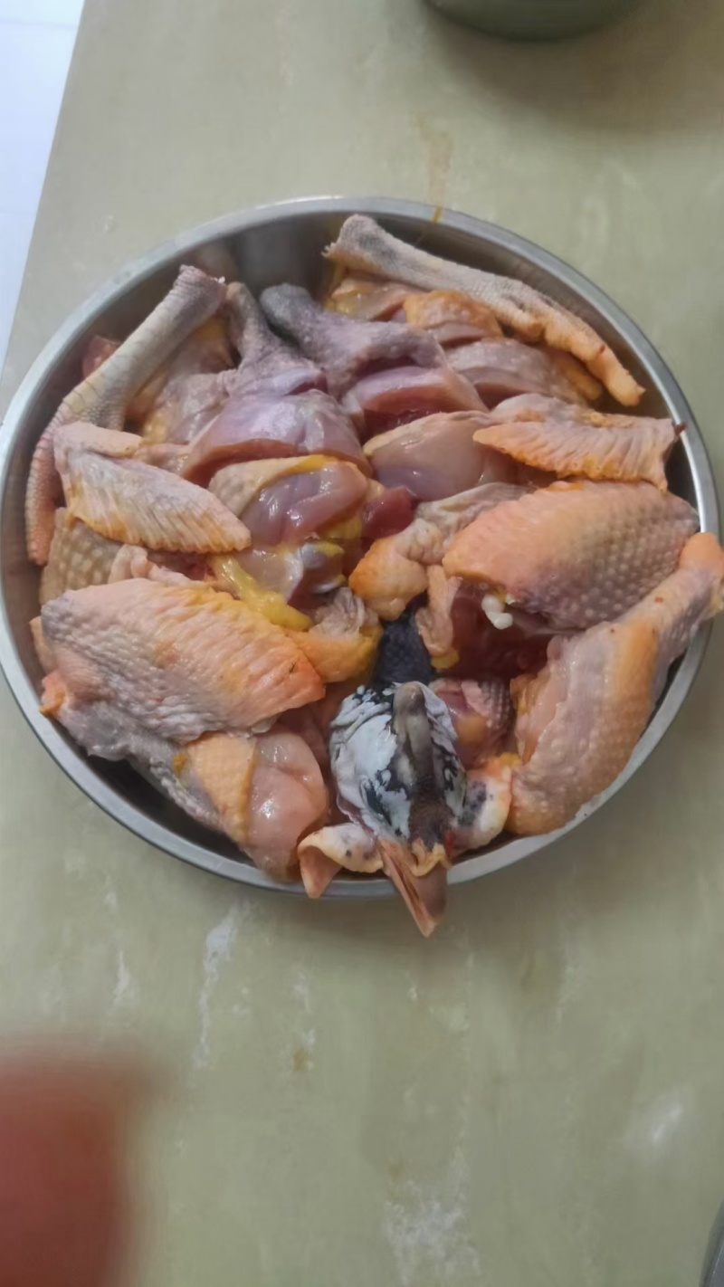 散养珍珠鸡，肉质细腻鲜美，懂行的老板来盘，原产地直销
