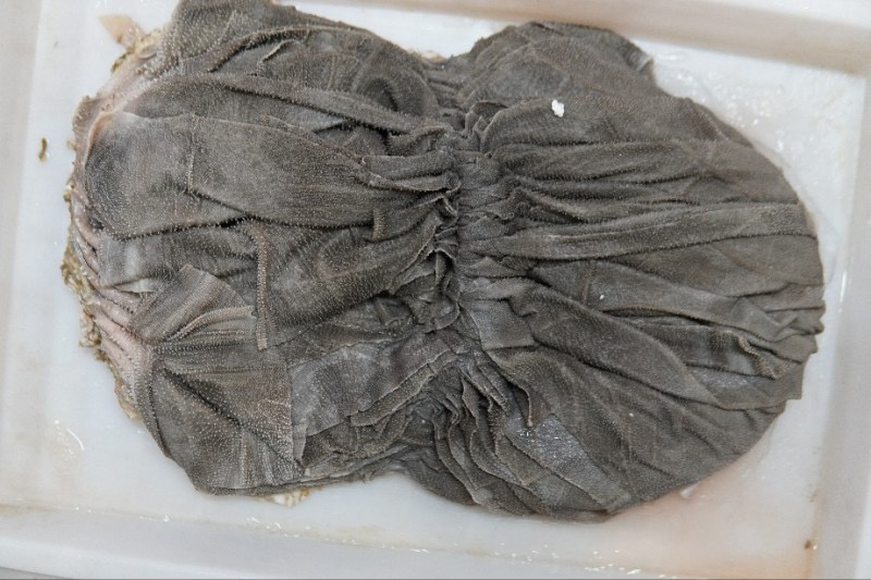 牛百叶重庆牛毛肚火锅专用无泡水纯干地板去油