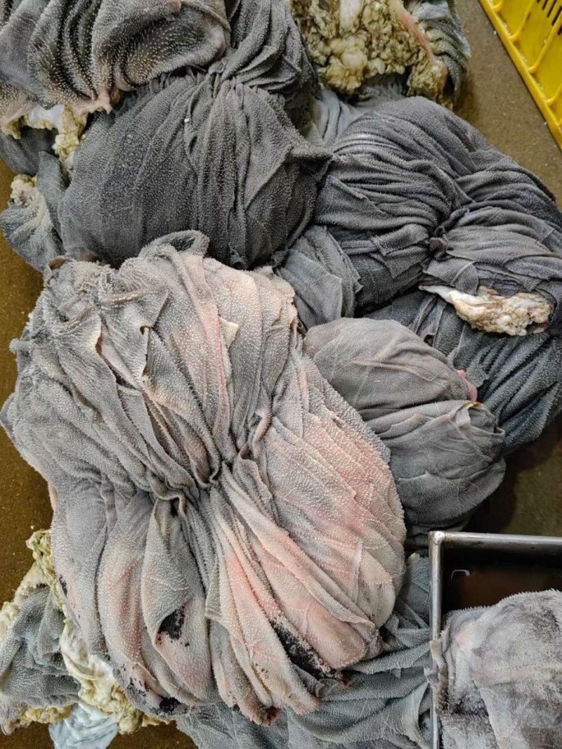 牛百叶重庆牛毛肚火锅专用无泡水纯干地板去油