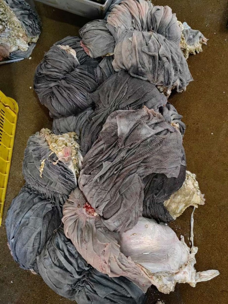 牛百叶重庆牛毛肚火锅专用无泡水纯干地板去油