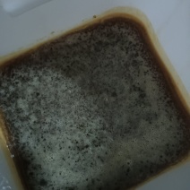 ***土蜂蜜