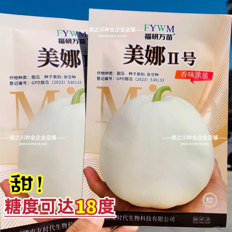 美娜2号甜瓜种籽薄皮甜瓜种子香味浓郁美浓类型甜瓜品种
