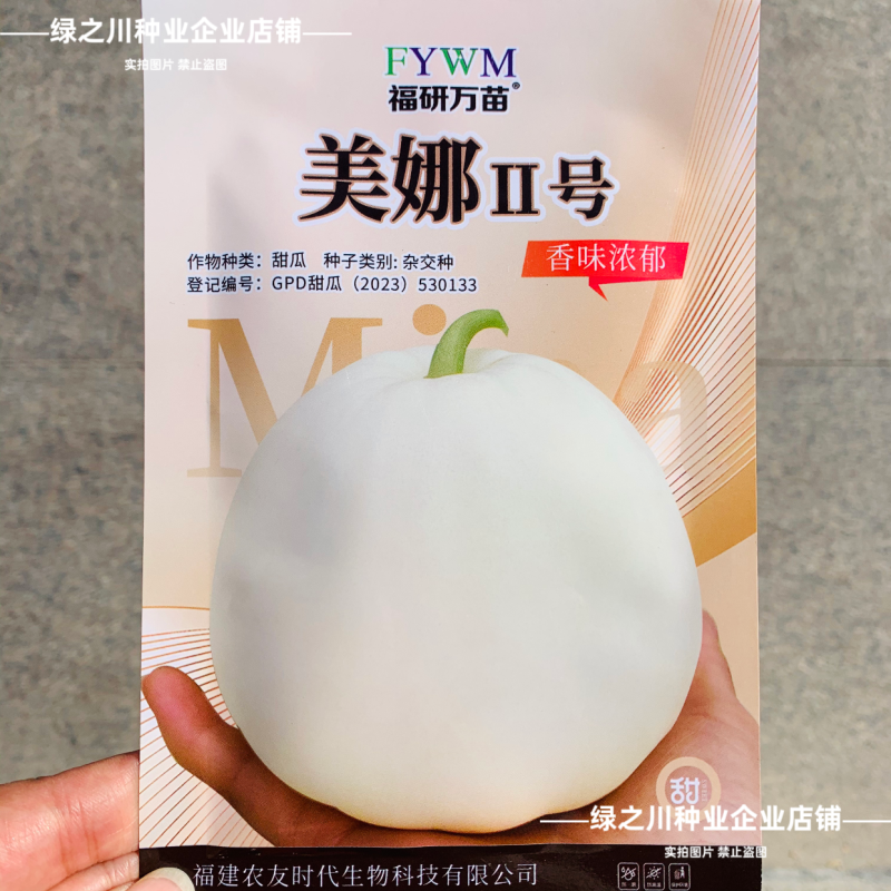 美娜2号甜瓜种籽薄皮甜瓜种子香味浓郁美浓类型甜瓜品种
