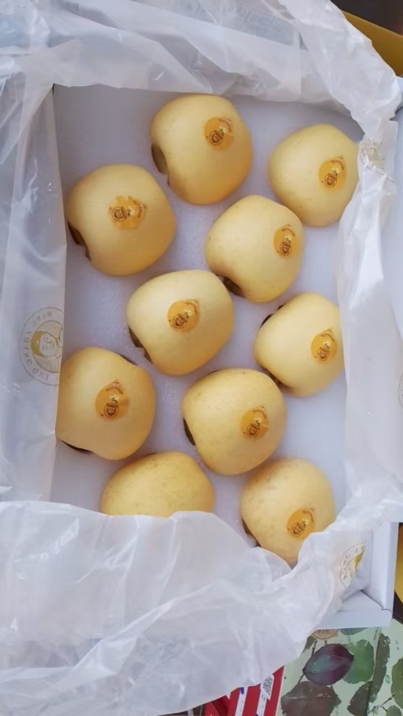 维纳斯