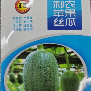 丝瓜种子利农苹果丝瓜瓜码密产量高瓜形美