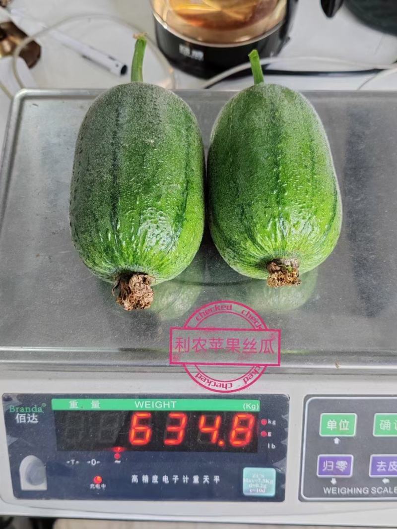 丝瓜种子利农苹果丝瓜瓜码密产量高瓜形美