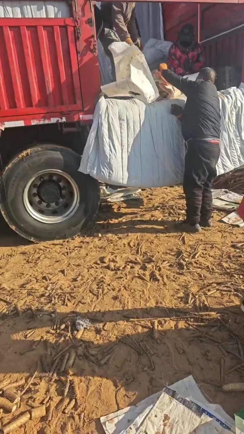 精品榆林白玉山药产地直发