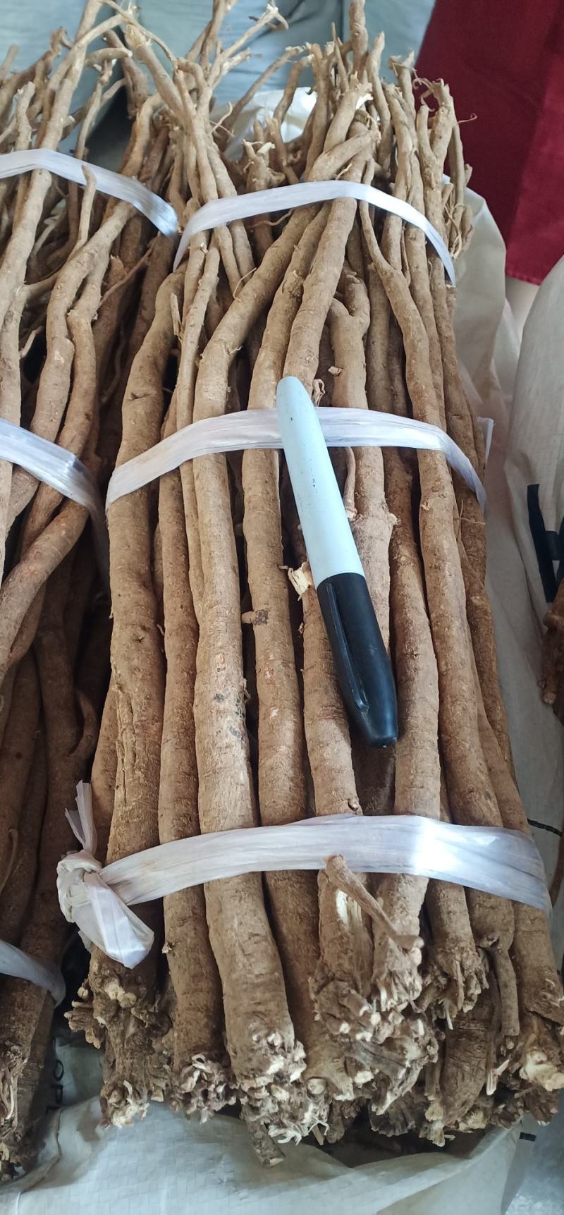 小叶红皮选条千斤拔中药批发一手货源量大忧里惠