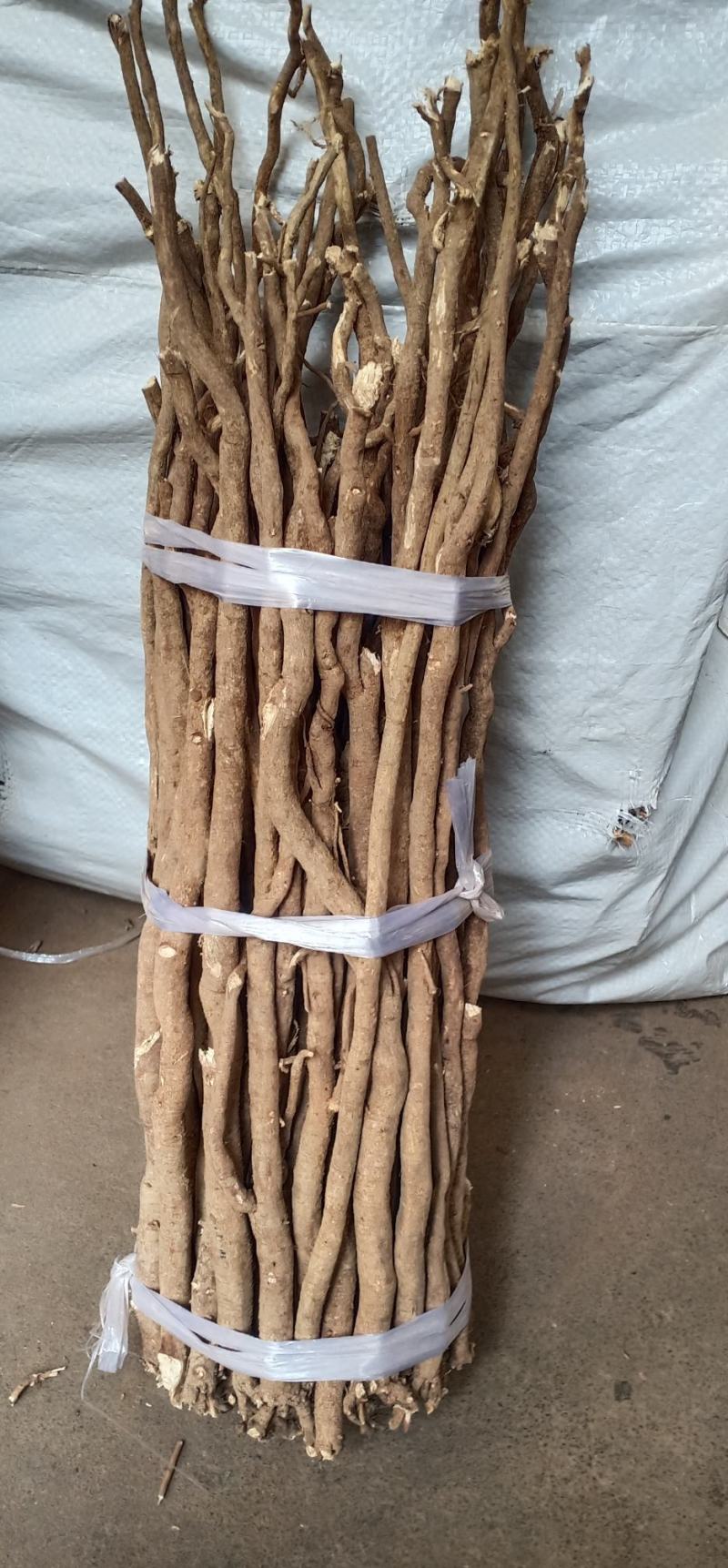小叶红皮选条千斤拔中药批发一手货源量大忧里惠
