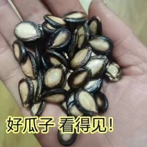 净重】正宗大片西瓜子五香话梅味净重大颗粒黑瓜子原味炒货雀