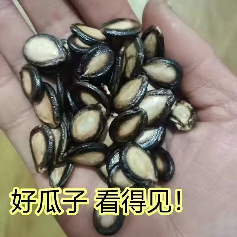 净重】正宗大片西瓜子五香话梅味净重大颗粒黑瓜子原味炒货雀