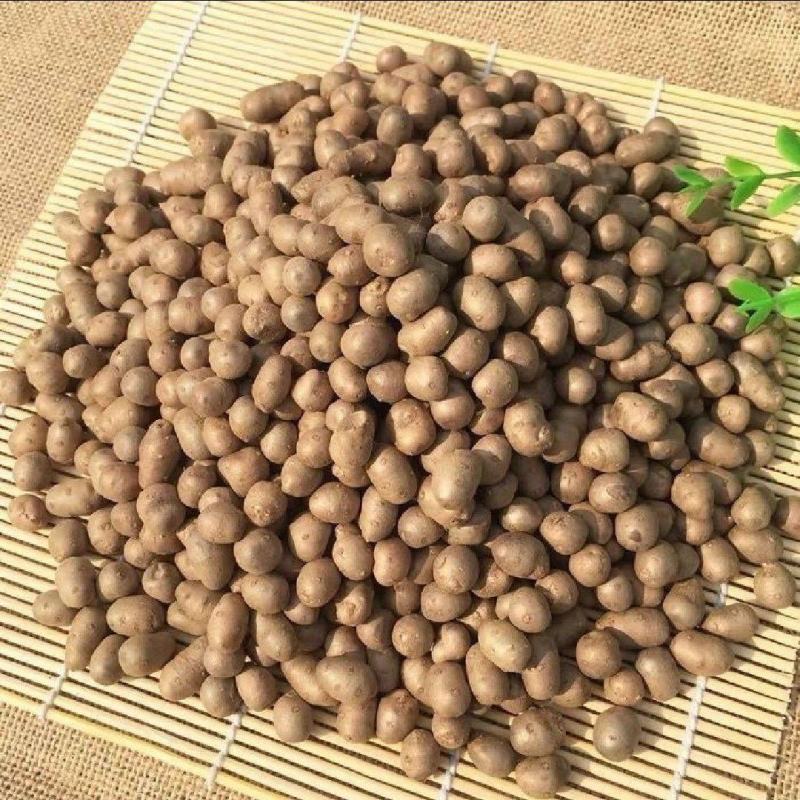 山药豆1公分到1.3公分对接各大电商平台价格公道质