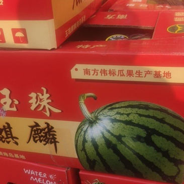 头若麒麟瓜次瓜五千斤，包箱上车0.4元每斤