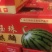 头若麒麟瓜次瓜五千斤，包箱上车0.4元每斤