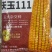 沃玉111玉米种子大棒型抗锈抗倒高产量