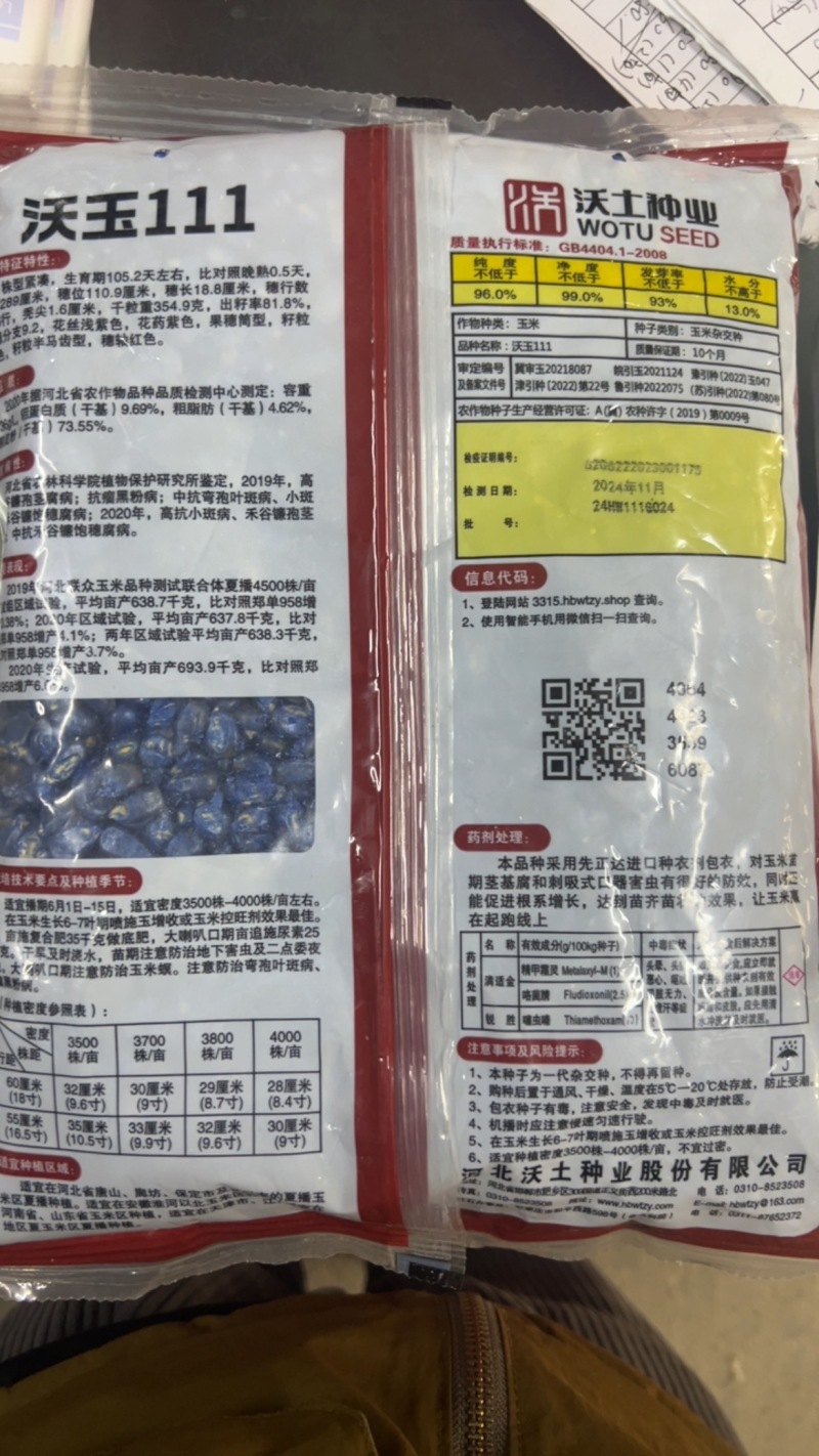 沃玉111玉米种子大棒型抗锈抗倒高产量