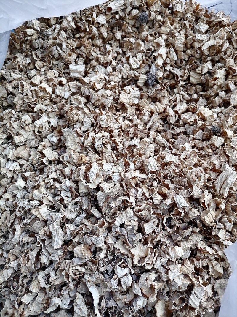 羊肚菌菌脚，羊肚菌菇脚，羊肚菌柄，羊肚菌脖子