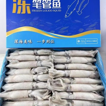 笔管鱼三去开片笔管鱼