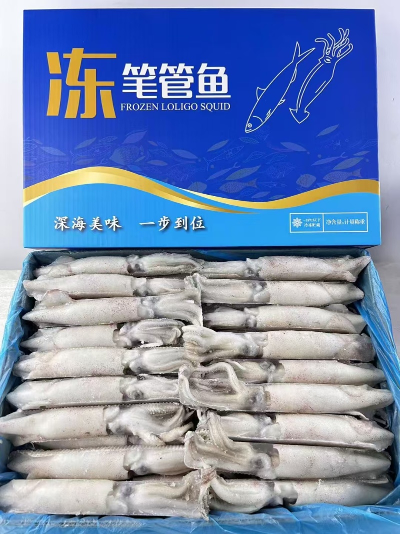 笔管鱼三去开片笔管鱼