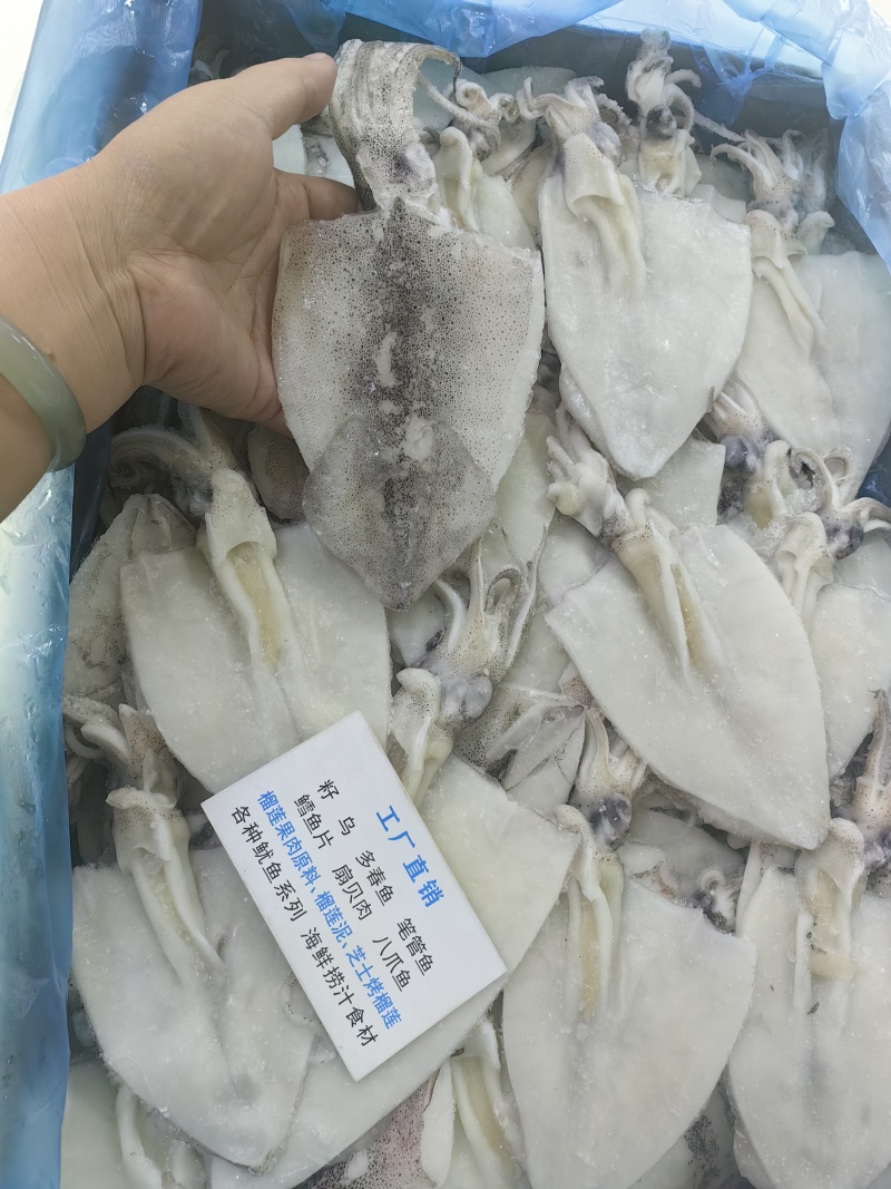 笔管鱼三去开片笔管鱼