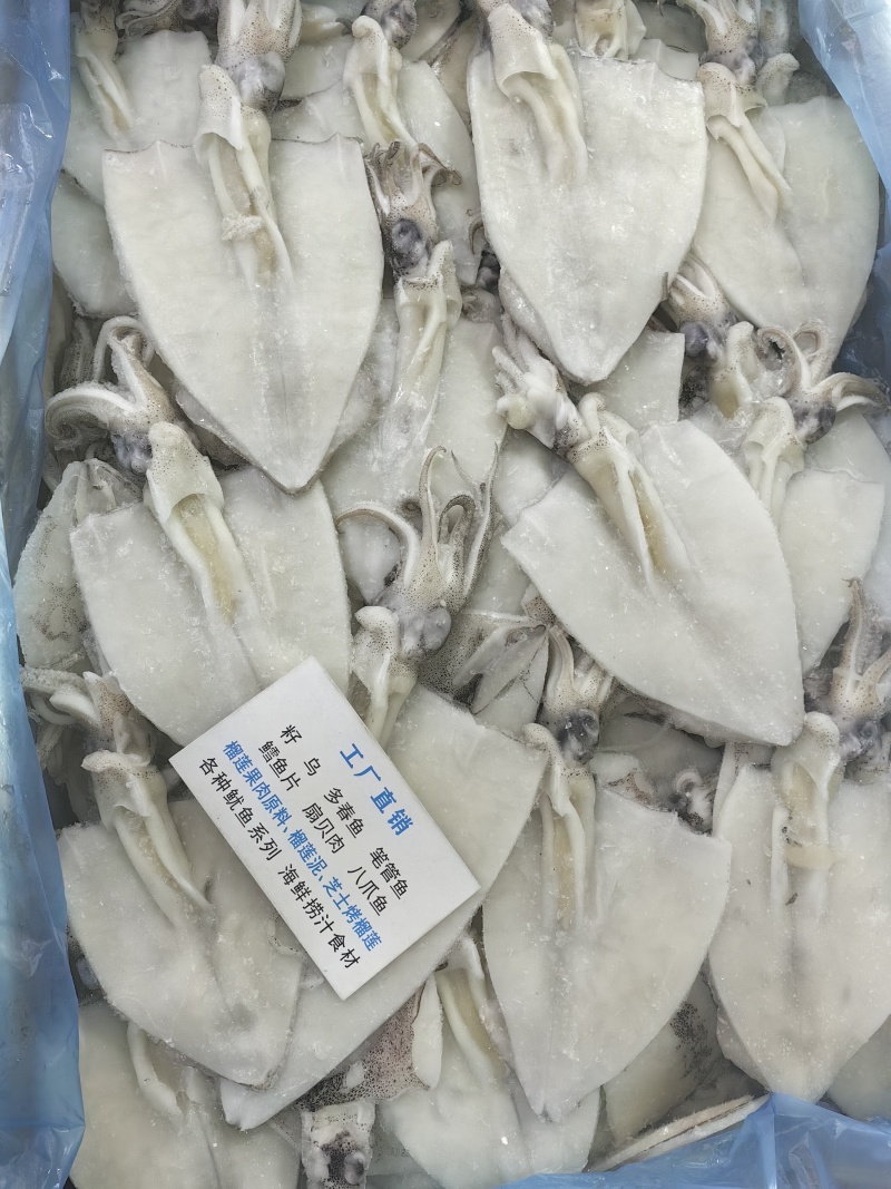 笔管鱼三去开片笔管鱼