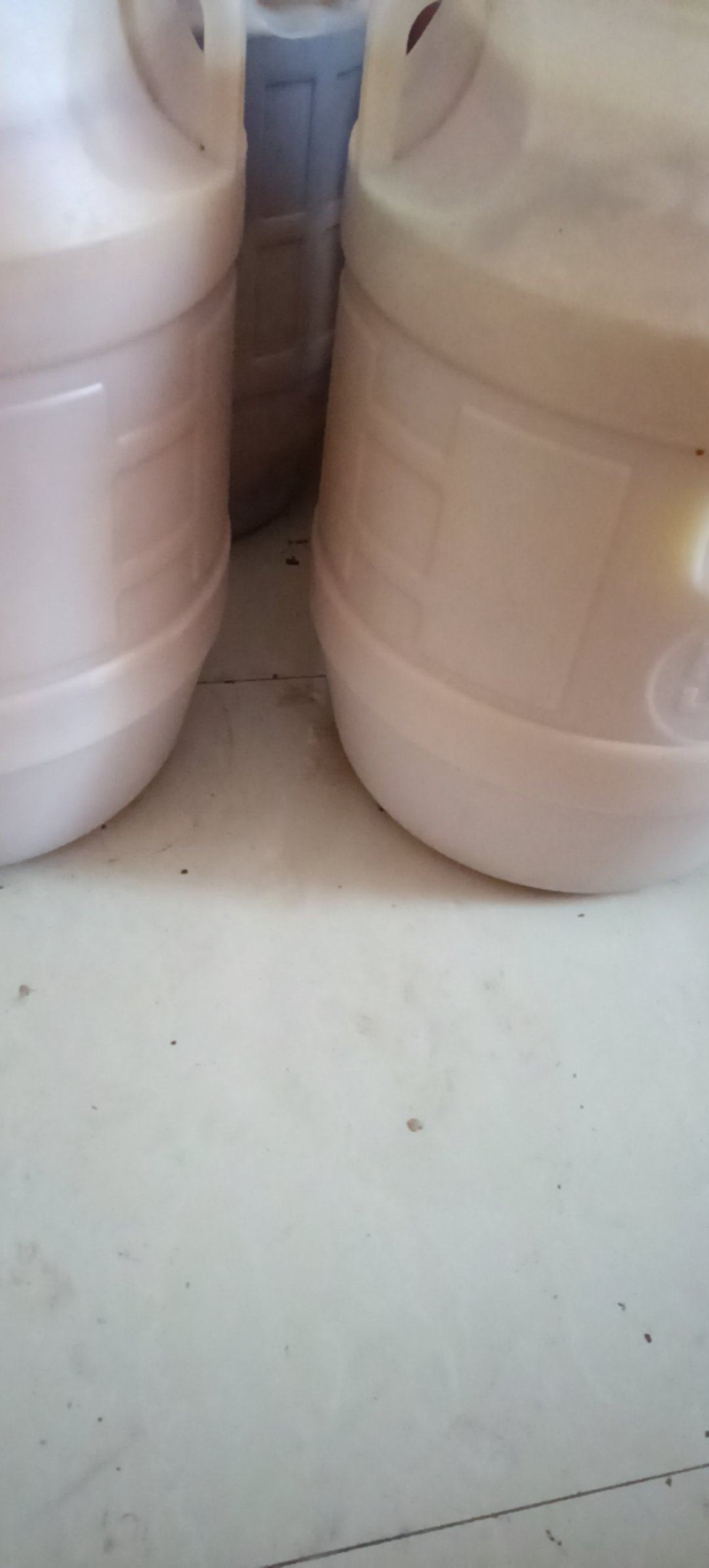 土蜂蜜