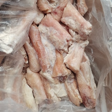 短蹄筋郑州现货
