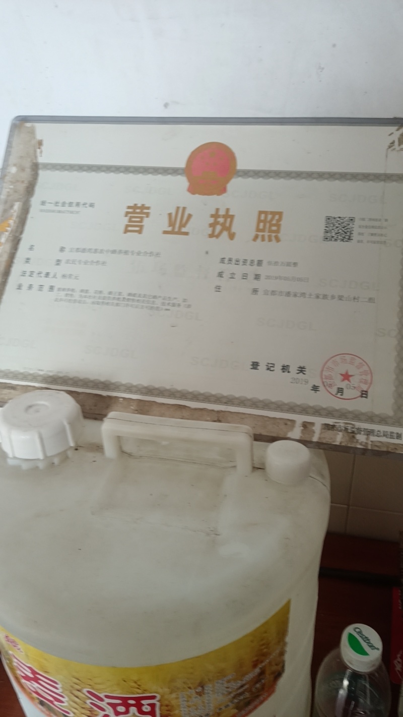 土蜂蜜