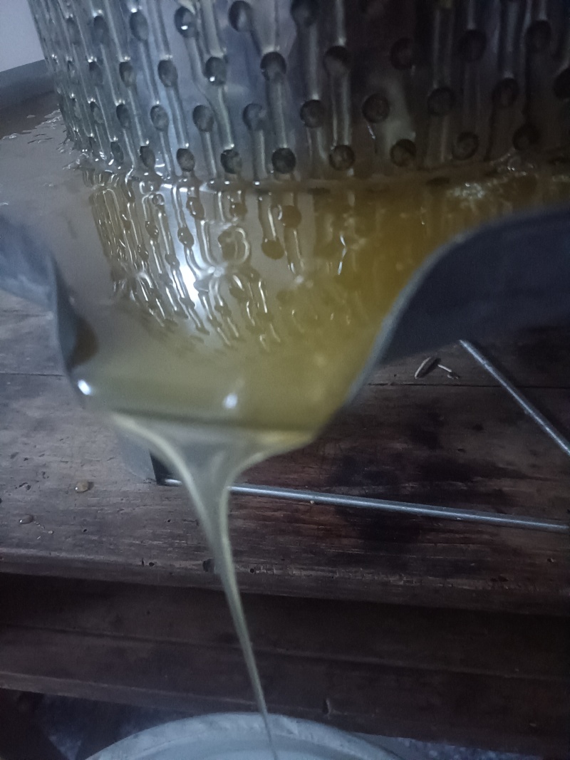 土蜂蜜