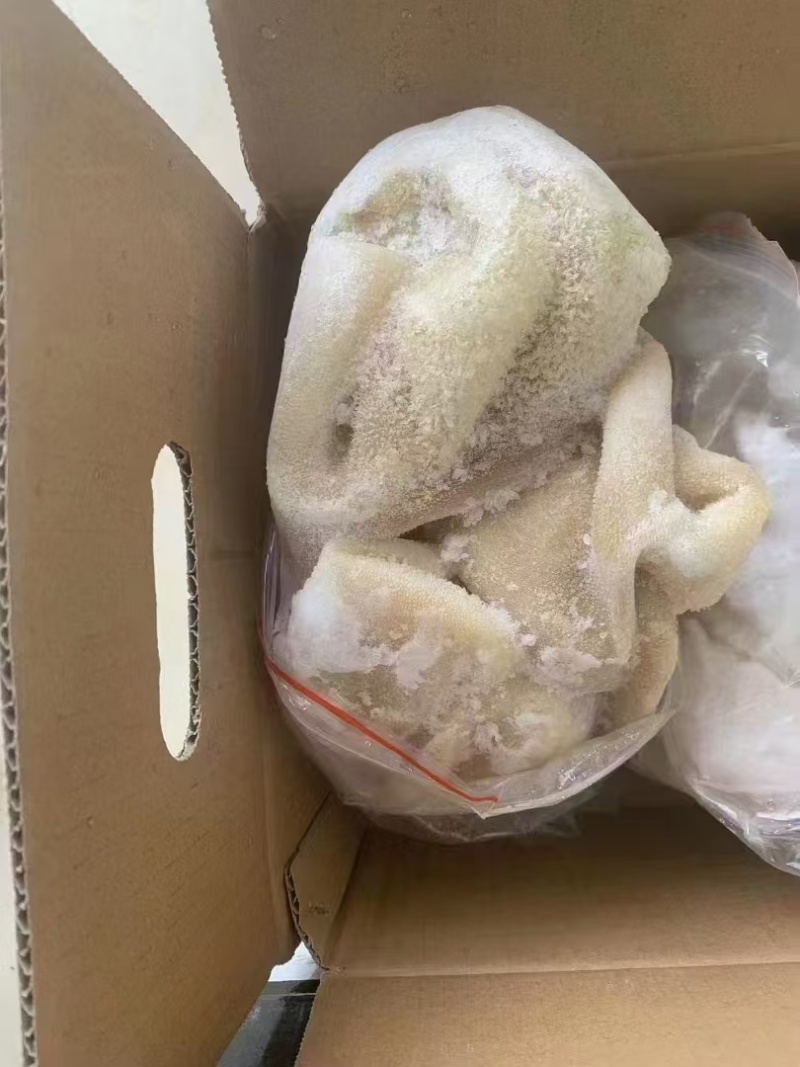 熟羊肚郑州现货