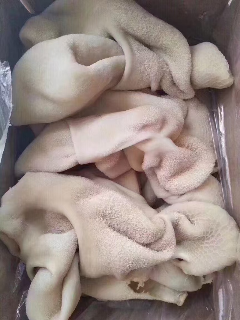 熟羊肚郑州现货