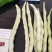 好货陆续上市中，基地自产，无代办费用，全是精品货