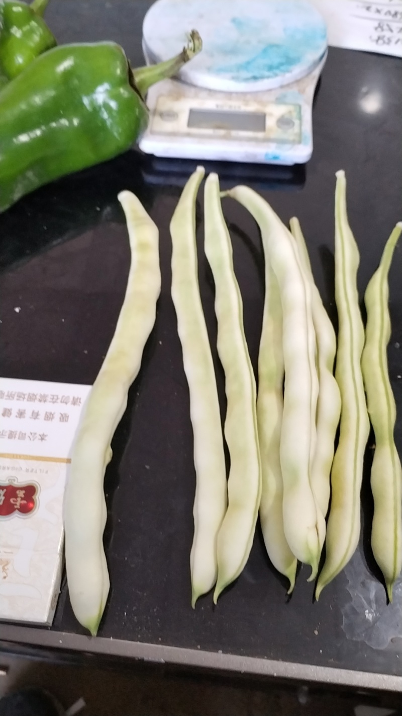 好货陆续上市中，基地自产，无代办费用，全是精品货