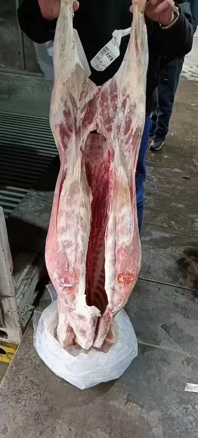 39大羊酮体