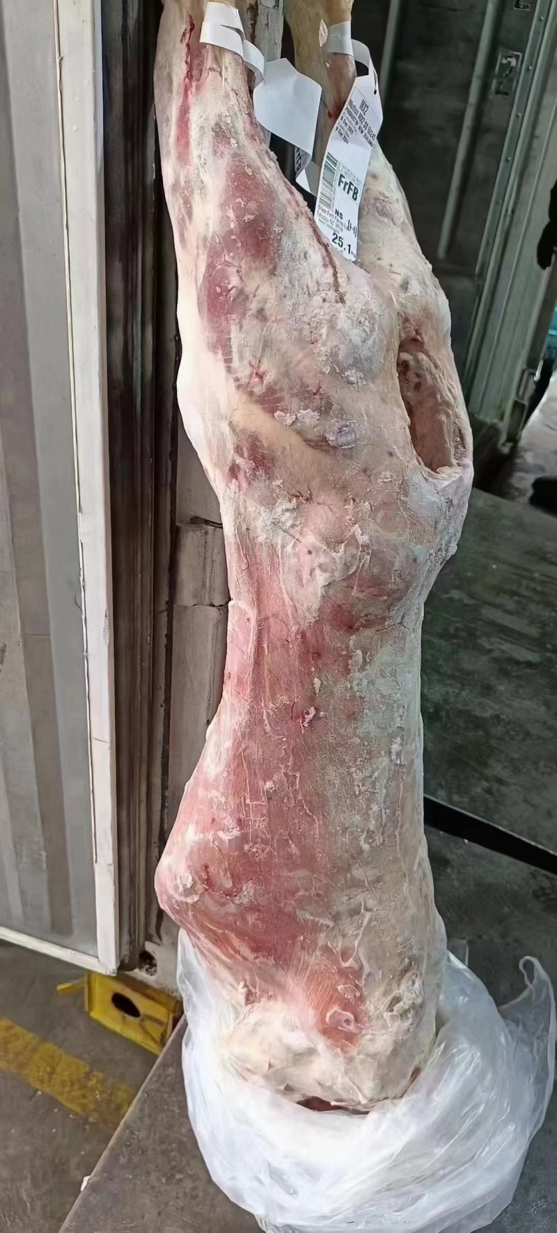 39大羊酮体