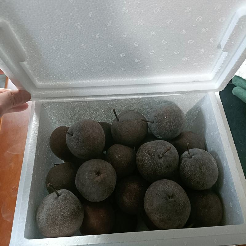 批发冻梨，苹果梨