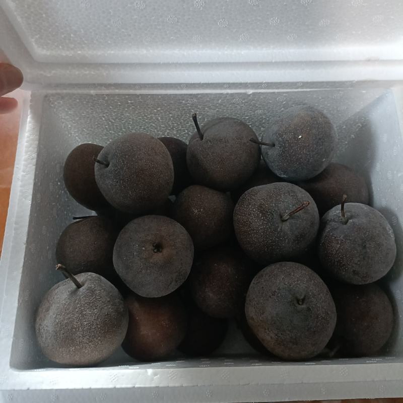 批发冻梨，苹果梨