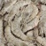 盐冻大虾
