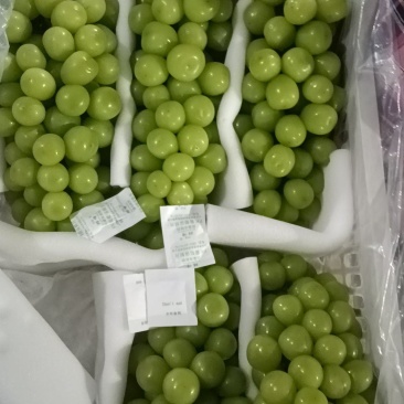 阳光玫瑰工厂货,价格便宜,量大从优,串串,颗粒