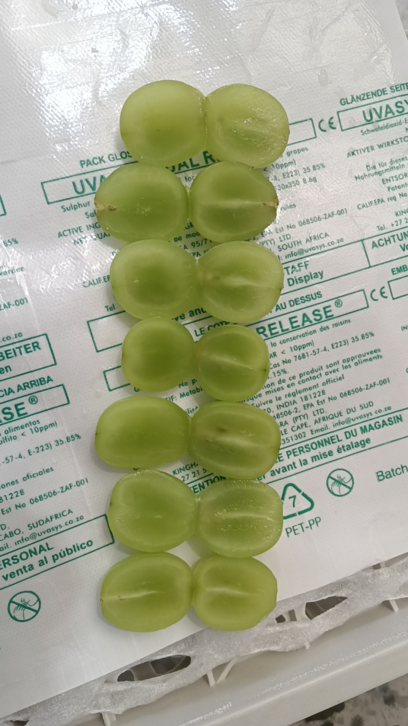 阳光玫瑰工厂货，价格便宜，量大从优，串串，颗粒