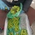 阳光玫瑰工厂货,价格便宜,量大从优,串串,颗粒