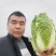 【精品白菜】湖北黄心白菜万亩基地供应市场电商工厂视频看货
