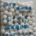 汤圆厂家直发量大从优欢迎新老客户光3814078138