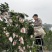 眉山春见耙耙柑~核心产区一件代发，电商发货，社区团购走车