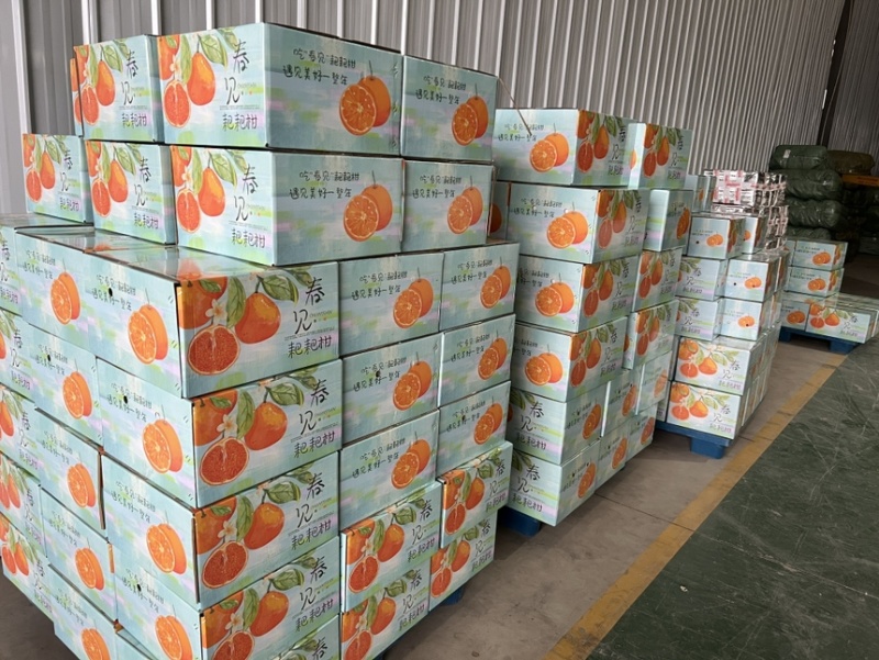眉山春见耙耙柑~核心产区一件代发，电商发货，社区团购走车